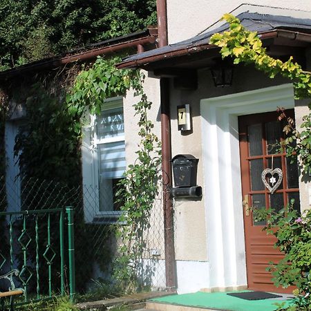 Ferienwohnung Am Muehlbach Klingenthal Εξωτερικό φωτογραφία