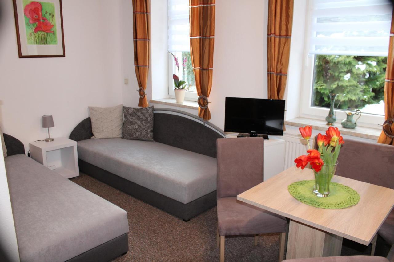 Ferienwohnung Am Muehlbach Klingenthal Εξωτερικό φωτογραφία