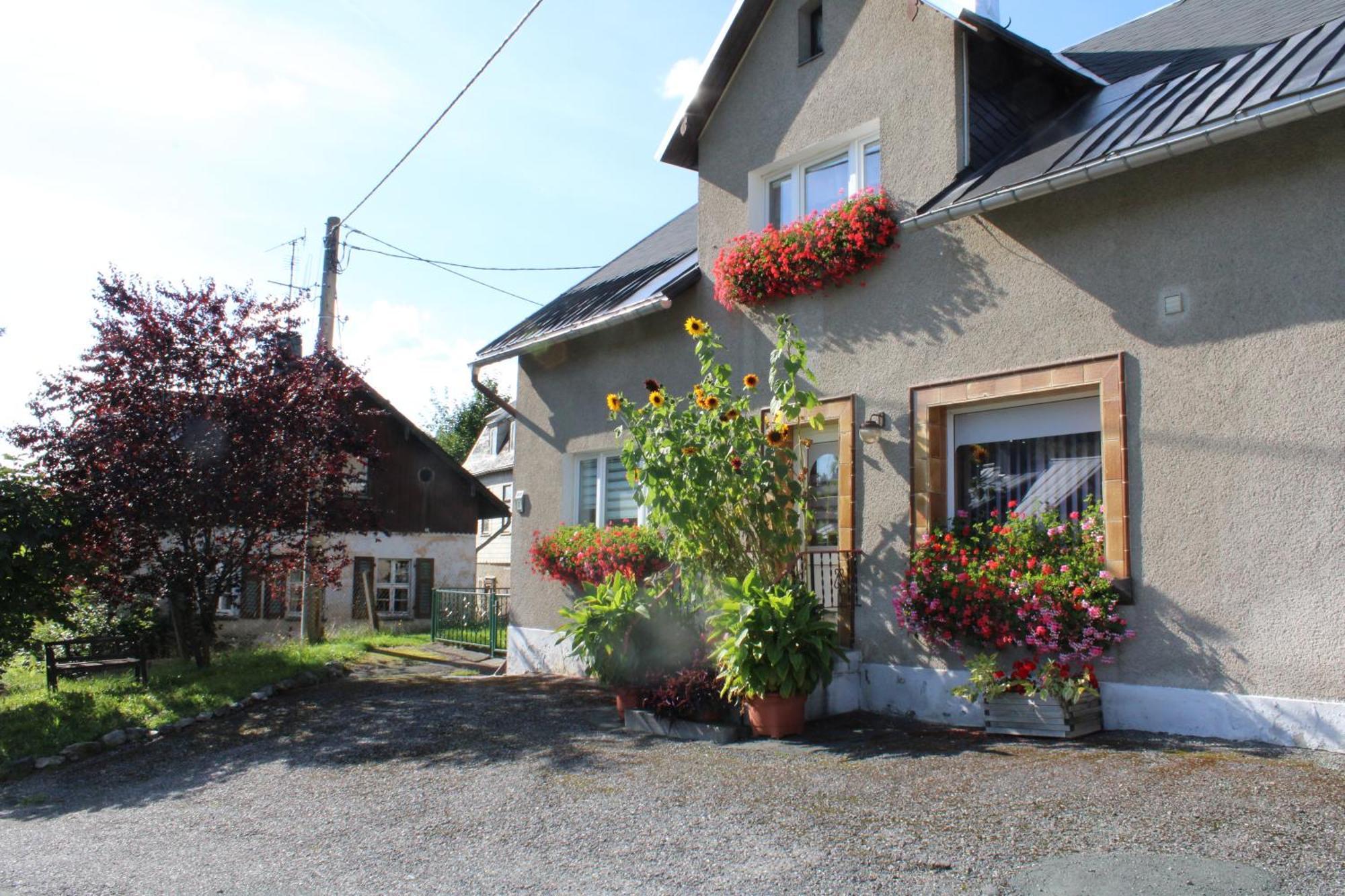 Ferienwohnung Am Muehlbach Klingenthal Εξωτερικό φωτογραφία