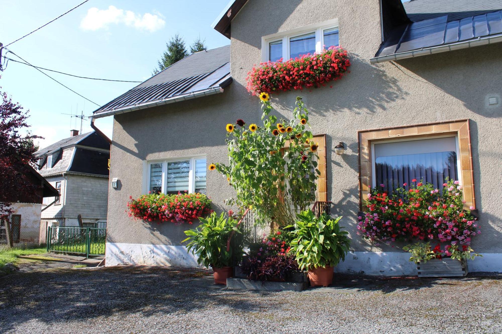Ferienwohnung Am Muehlbach Klingenthal Εξωτερικό φωτογραφία